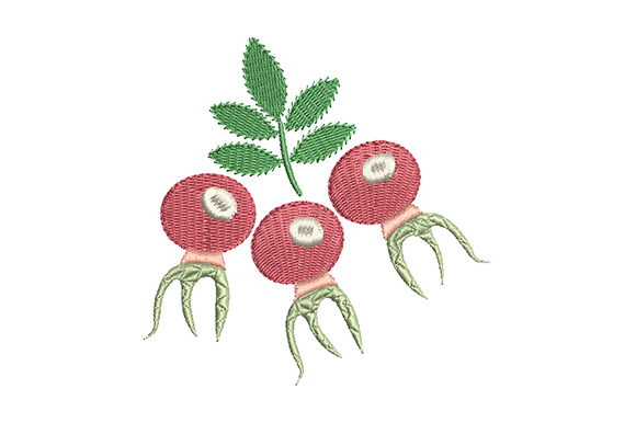 Design Review: Red Rose Hips Embroidery for Boutique Sweatshirts
