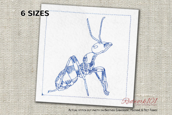 Reviewing the Red Wood Ant Bluework Embroidery Design